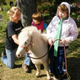 Image for article titled Ohio Town Removes Service Mini-Horse of Girl with Disabilities